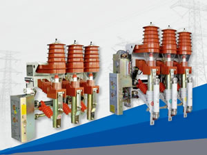 FKN12-12D/T630-20 FKRN12-12D/T125-31.5戶(hù)內(nèi)高壓壓氣式負(fù)荷開(kāi)關(guān)